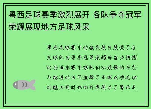 粤西足球赛季激烈展开 各队争夺冠军荣耀展现地方足球风采