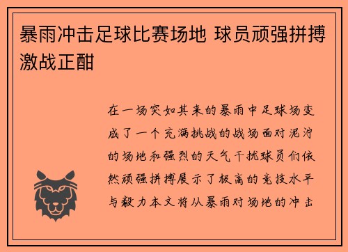 暴雨冲击足球比赛场地 球员顽强拼搏激战正酣