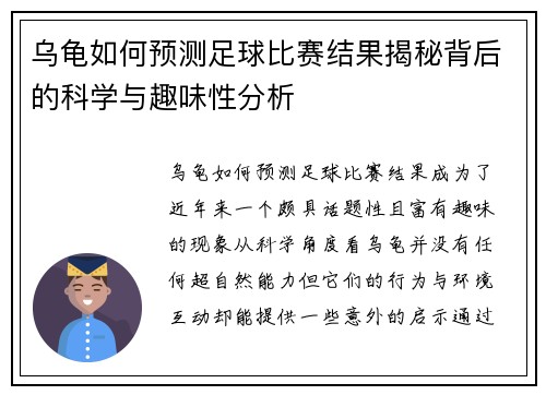乌龟如何预测足球比赛结果揭秘背后的科学与趣味性分析