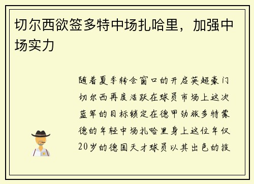 切尔西欲签多特中场扎哈里，加强中场实力