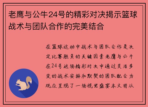 老鹰与公牛24号的精彩对决揭示篮球战术与团队合作的完美结合