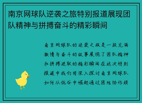 南京网球队逆袭之旅特别报道展现团队精神与拼搏奋斗的精彩瞬间