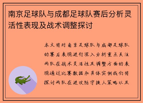 南京足球队与成都足球队赛后分析灵活性表现及战术调整探讨